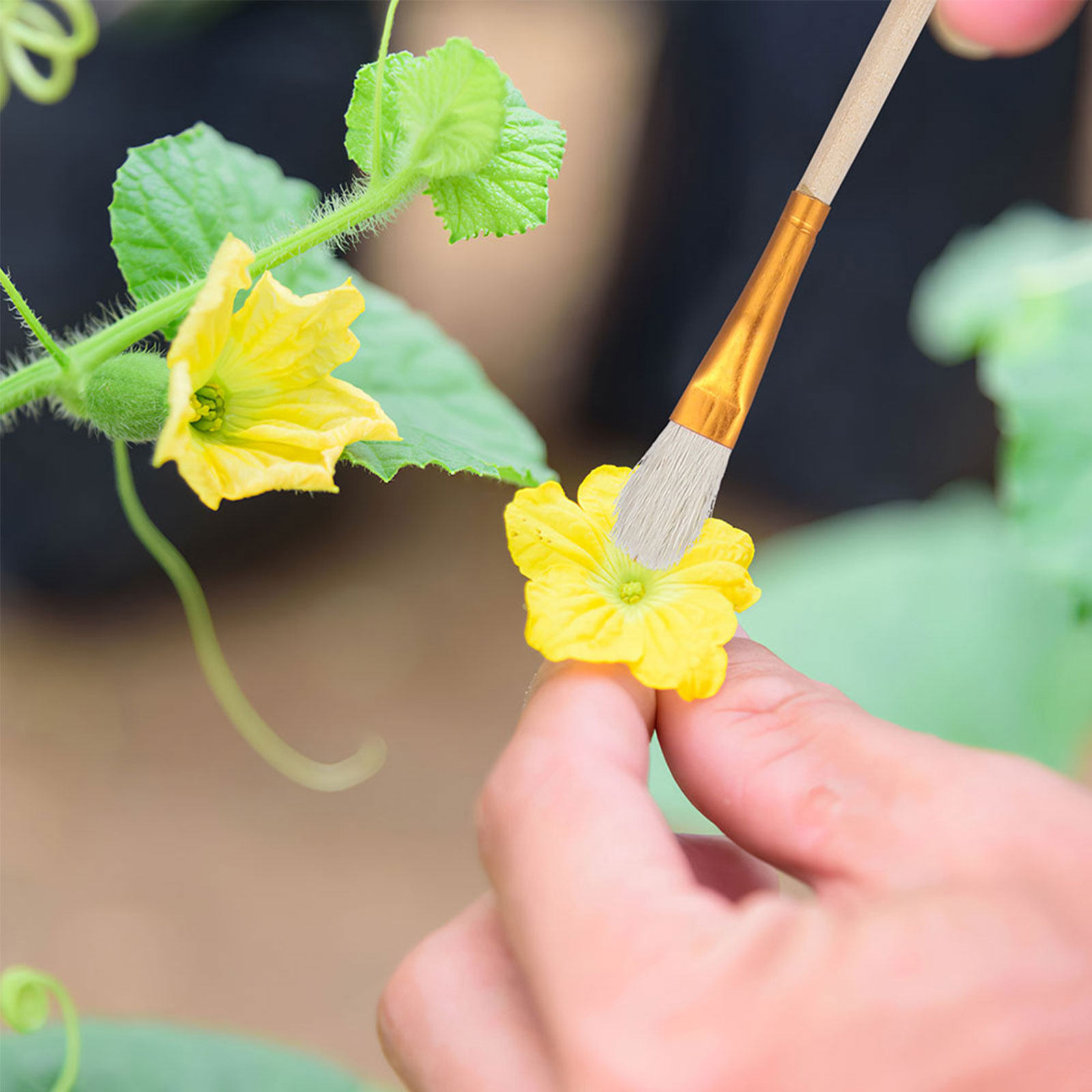 16Pcs Flower Pollinator Brush  - огляд і ціна Gardening Tools Hand